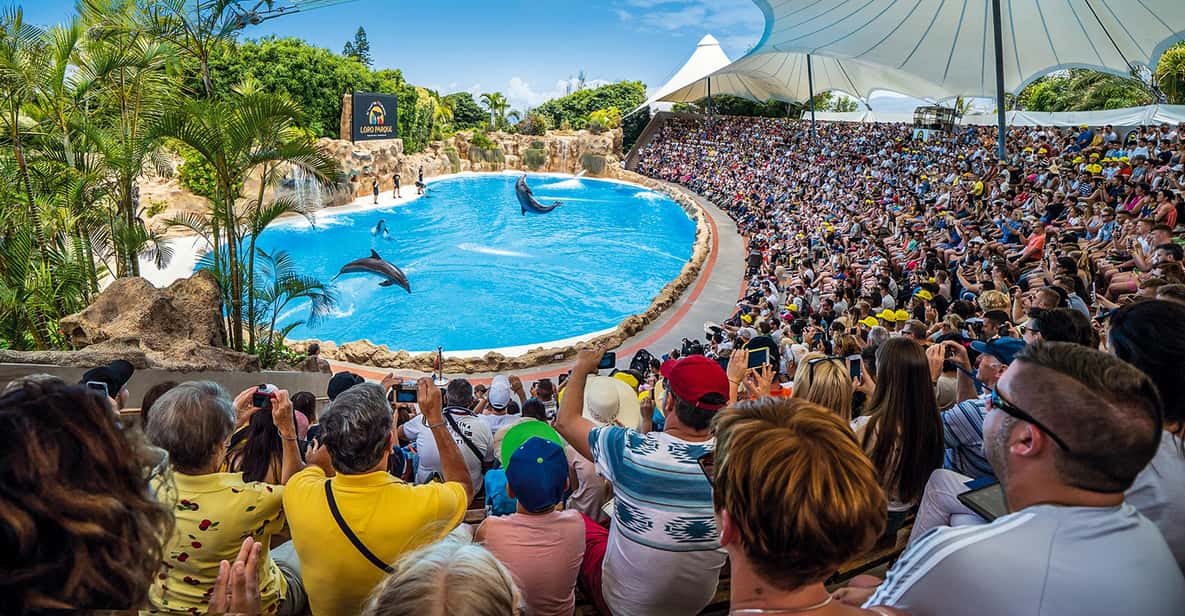 Loro Parque zoo Puerto de la Cruz Tenerife