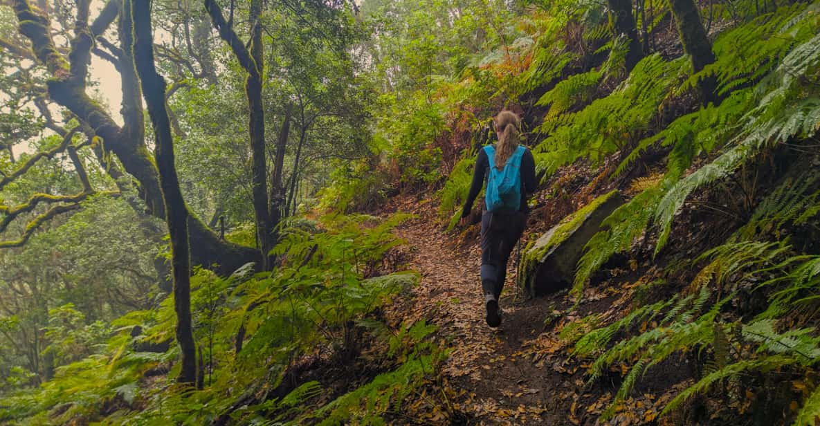 Hikers descending through the dramatic Masca Valley gorge in Tenerife