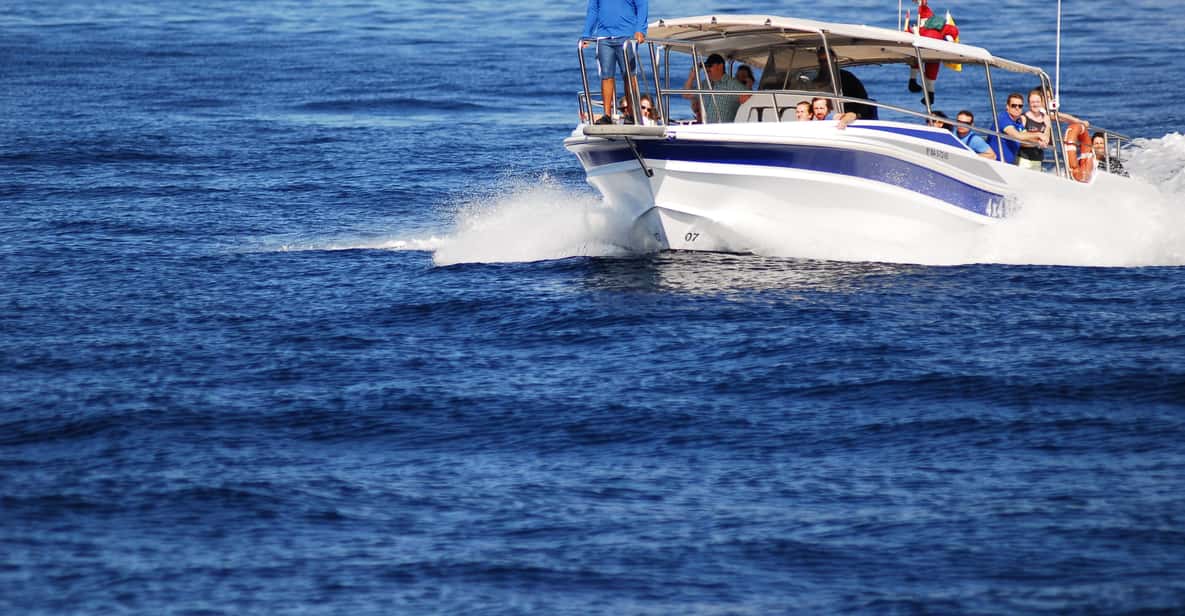 Private yacht charter for whale watching off the coast of Tenerife